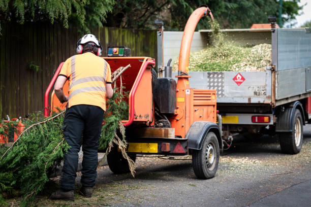 Best Firewood Processing and Delivery  in Raven, VA